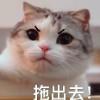机关算尽